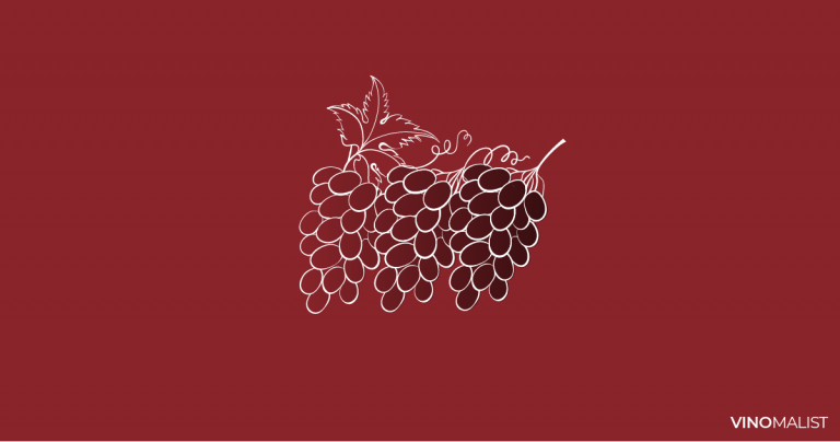 Tipos de uva para vinos Las 13 más importantes (en 2022)