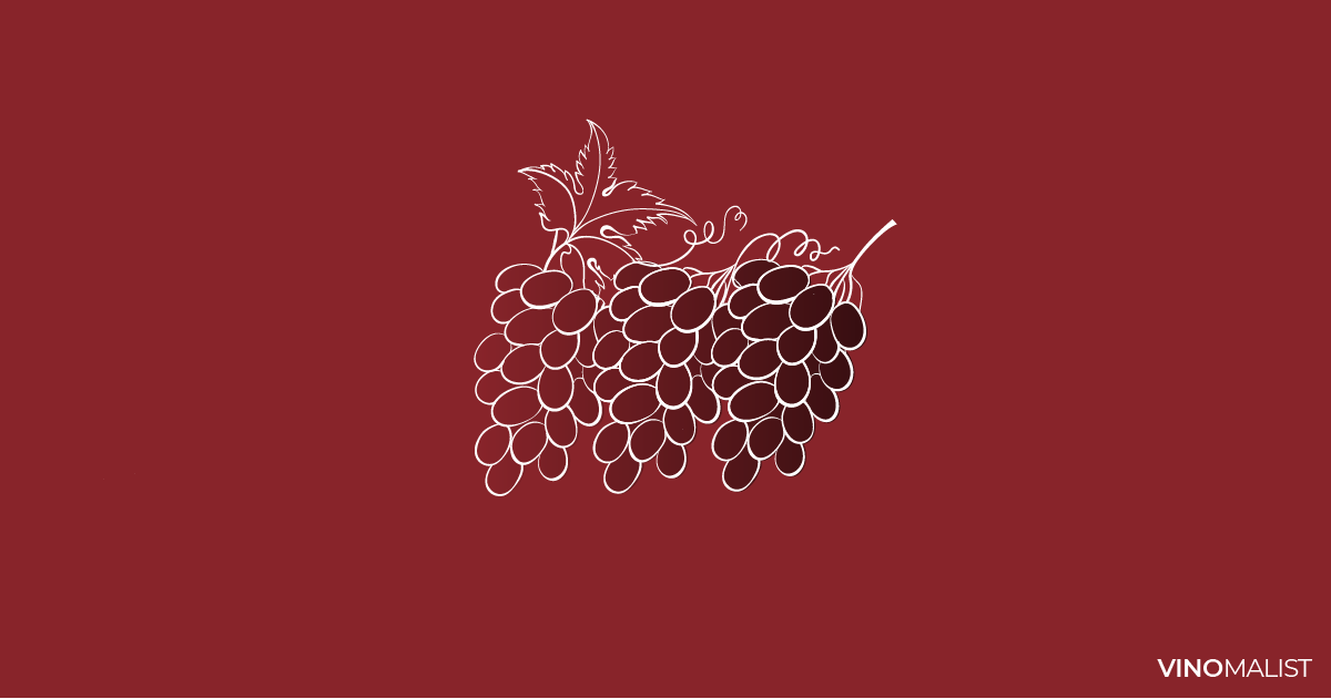 Tipos de uva para vinos Las 13 más importantes (en 2022)